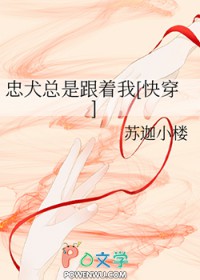 ȮǸ[촩]