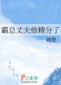 �����ɷ���������