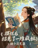 ���ú�������һ�ѷ���