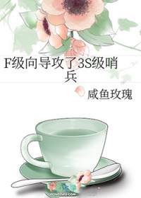 F���򵼹���3S���ڱ�