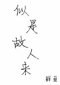 ���ǹ�����