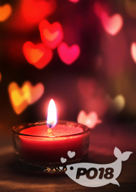 �촩֮po18����С˵