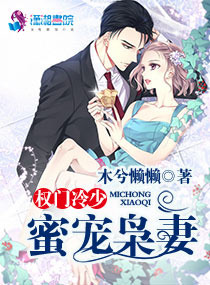 Ȩ�������۳�����