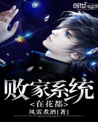 �ܼ�ϵͳ�ڻ���